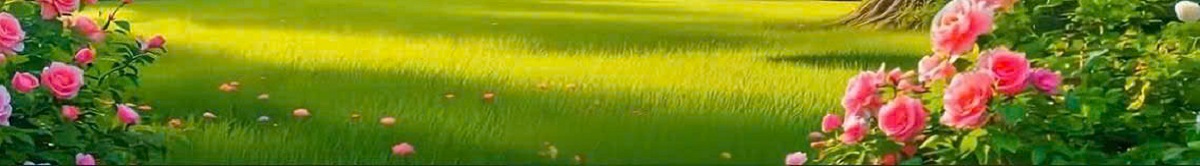 Banner 1